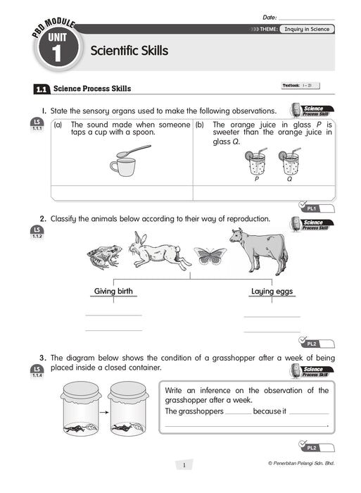 Modul Masteri PBD KSSR 2025 Tahun 4 /Year 4