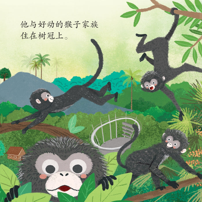 丛林小孩系列 Cong Lin Xiao Hai Xi Lie