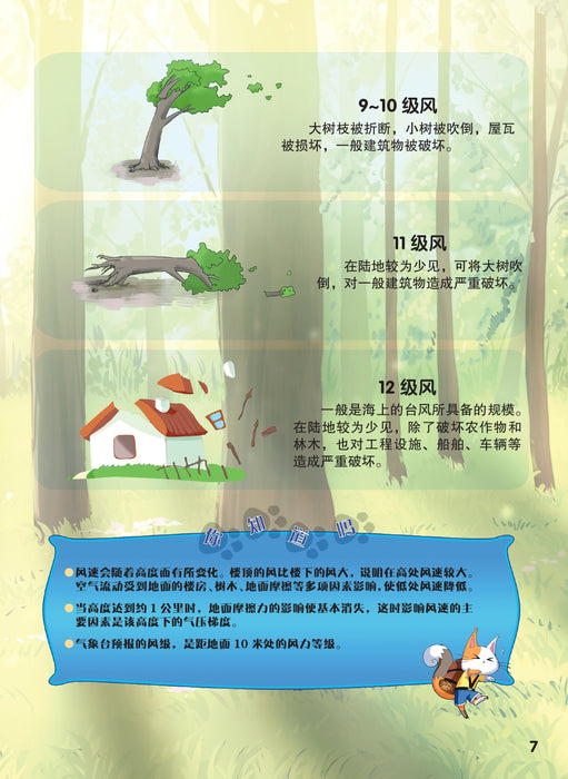 神奇的新能源 Amazing New Energy