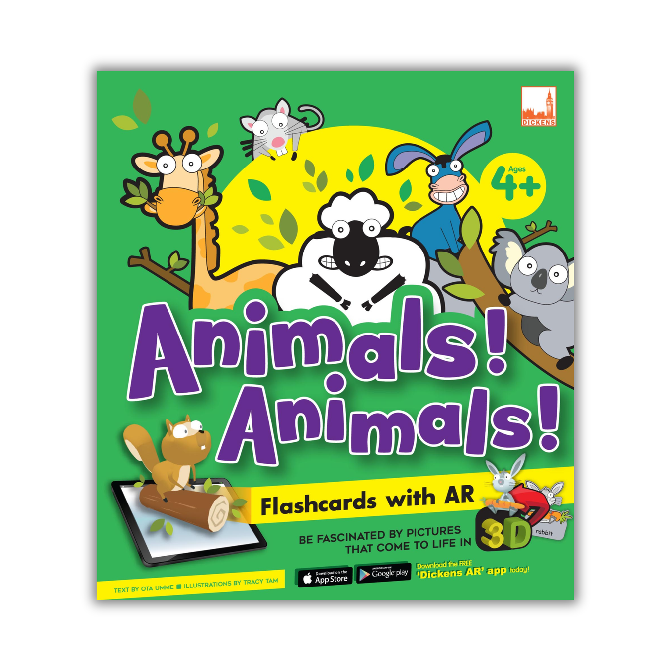 Flash Card