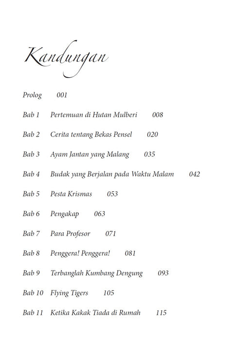 Novel Remaja Terkenal China