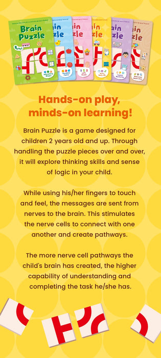 iQ HOUSE Brain Puzzle