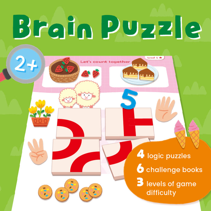 iQ HOUSE Brain Puzzle