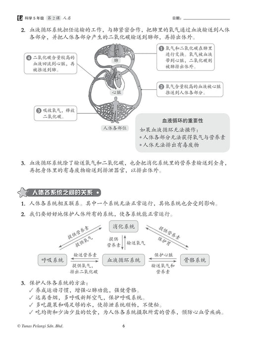 Praktis Topikal KSSR 2024 青苗单元练习 5 年级 科学 Sains