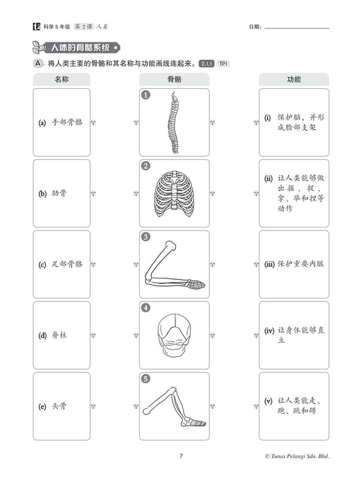 Praktis Topikal KSSR 2024 青苗单元练习 5 年级 科学 Sains