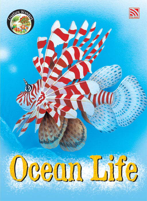 JJJP 2026- Storybook