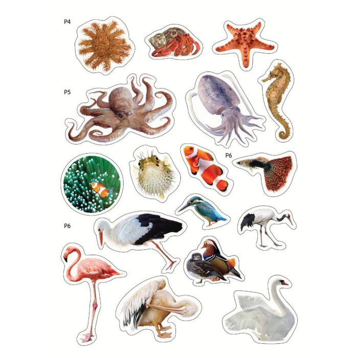 My First Sticker Book
