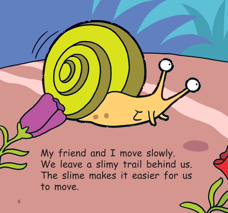 Hello Animals! The Hungry Snail