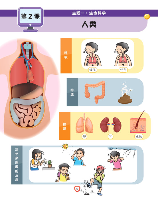 Fokus Strategi 焦点攻略 2026 Tahun 4 年级 4