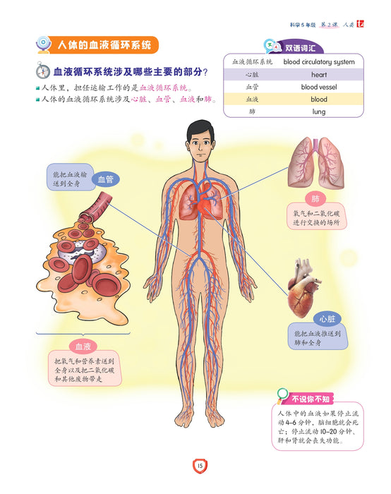 Fokus Strategi 焦点攻略 2026 Tahun 5 年级 5