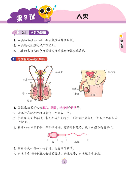 Get Ready 预习本 2026 Tahun 6 年级 6