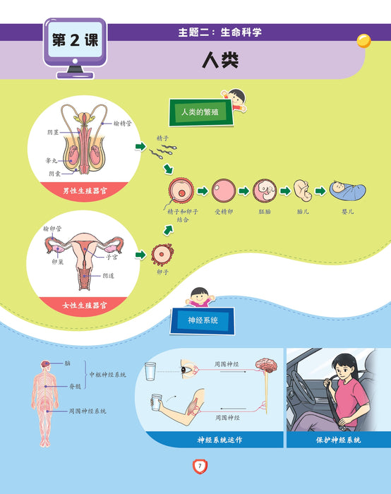 Fokus Strategi 焦点攻略 2026 Tahun 6 年级 6