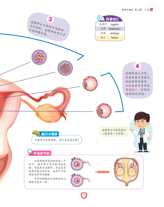Fokus Strategi 焦点攻略 2026 Tahun 6 年级 6