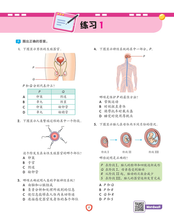 Fokus Strategi 焦点攻略 2026 Tahun 6 年级 6
