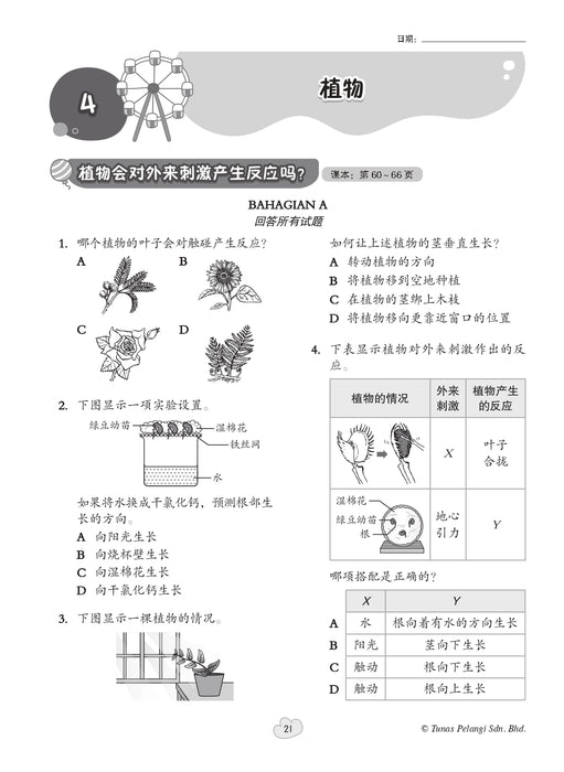 Praktis Fokus UASA 2026 焦点单元备考 Tahun 4 年级 4
