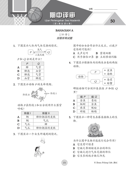 Praktis Topikal KSSR 2026 青苗 单元练习 Tahun 4 年级 4