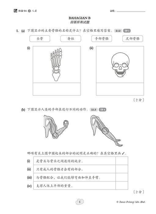 Praktis Fokus UASA 2026 焦点单元备考 Tahun 5 年级 5
