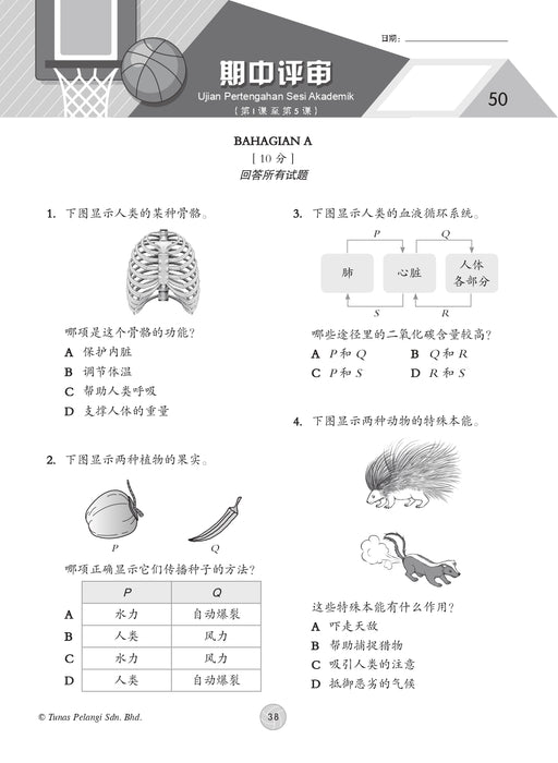Praktis Topikal KSSR 2026 青苗 单元练习 Tahun 5 年级 5