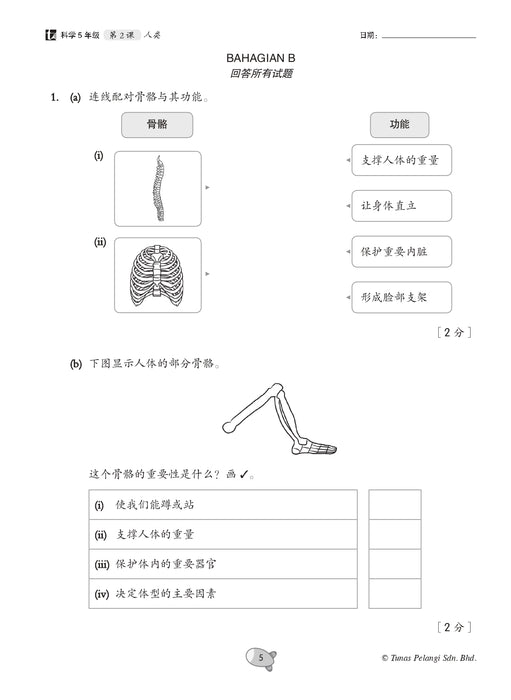 Praktis Topikal UASA 2026 备考全能通 Tahun 5 年级 5