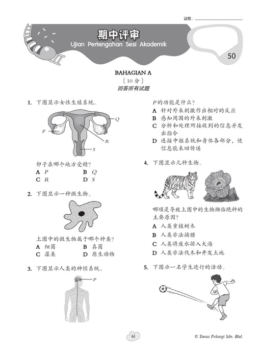 Praktis Fokus UASA 2026 焦点单元备考 Tahun 6 年级 6