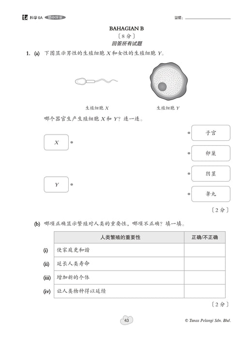 Praktis Fokus UASA 2026 焦点单元备考 Tahun 6 年级 6