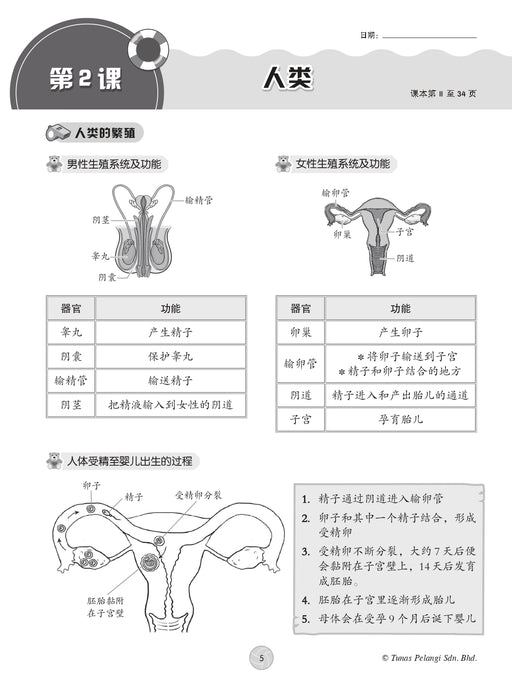 Praktis Topikal KSSR 2026 青苗 单元练习 Tahun 6 年级 6