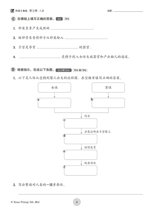 Praktis Topikal KSSR 2026 青苗 单元练习 Tahun 6 年级 6