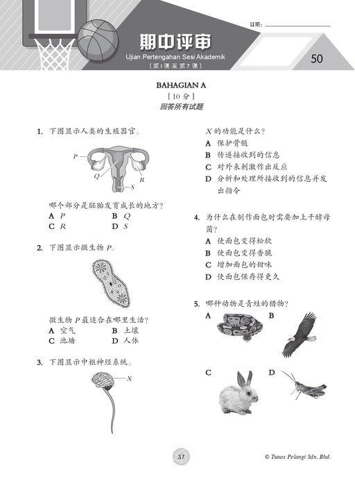 Praktis Topikal KSSR 2026 青苗 单元练习 Tahun 6 年级 6