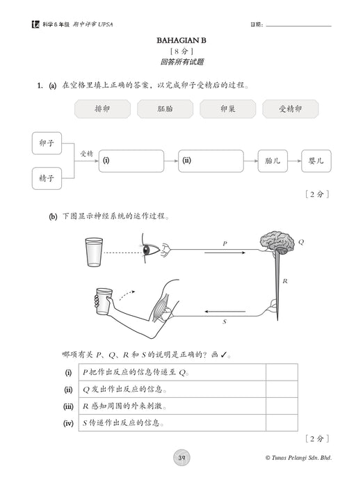 Praktis Topikal KSSR 2026 青苗 单元练习 Tahun 6 年级 6