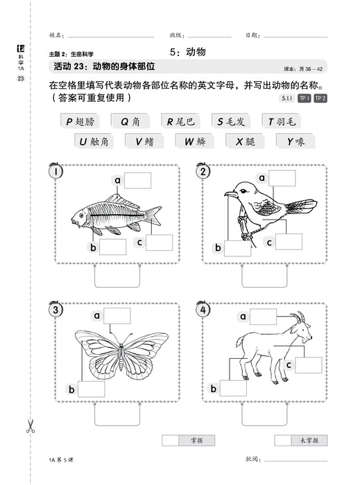 Pentaksiran Bilik Darjah 2025 课堂评估 1 年级