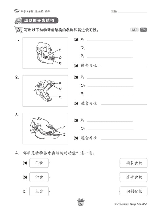 Praktis KSSR 2025 华文练习 3 年级 科学 Sains