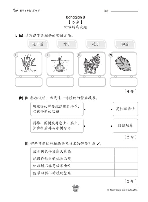 Praktis KSSR 2025 华文练习 3 年级 科学 Sains