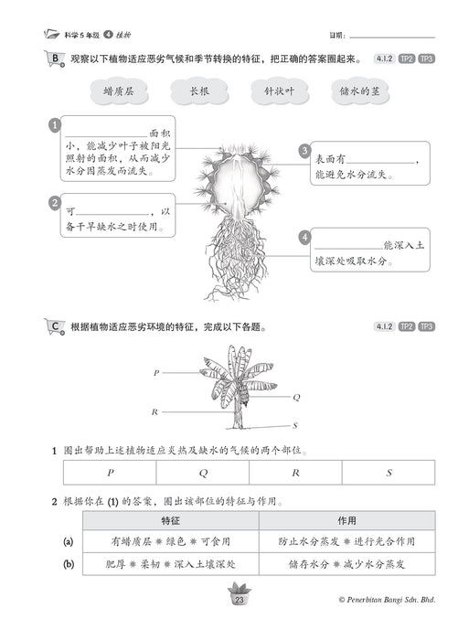 Praktis KSSR 2025 华文练习 5 年级 科学 Sains