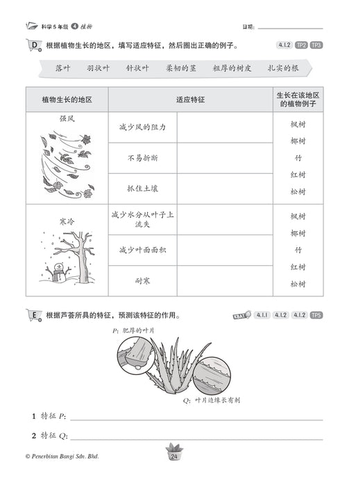 Praktis KSSR 2025 华文练习 5 年级 科学 Sains