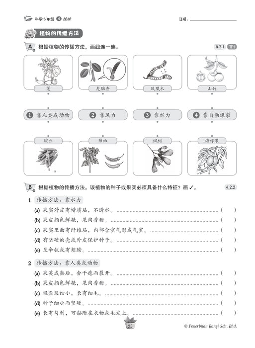 Praktis KSSR 2025 华文练习 5 年级 科学 Sains