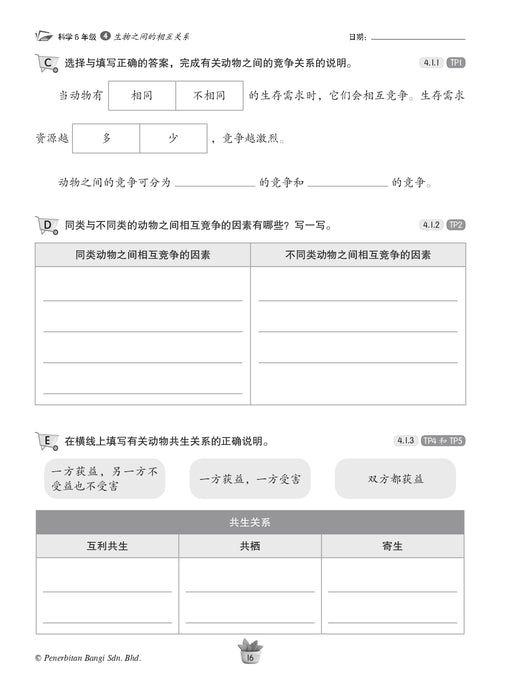 Praktis KSSR 2025 华文练习 6 年级