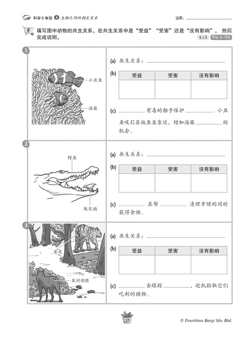 Praktis KSSR 2025 华文练习 6 年级