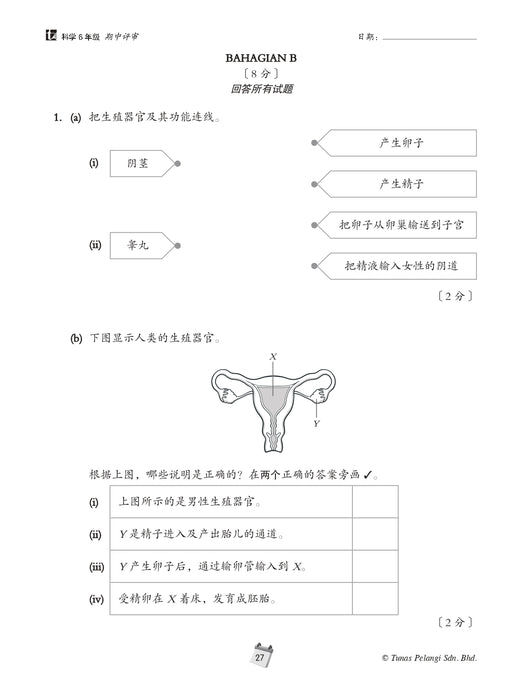 Siri Penilaian Progresif KSSR 2026 百分评审系列 Tahun 6 年级 6