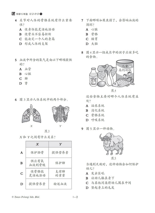 Bank Soalan Pentaksiran Sumatif 2023 综合评估 5 年级 科学 Sains