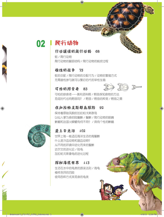 Britannica Da Ying Er Tong Man Hua Bai Ke Volume 11 to 19 大英儿童漫画百科