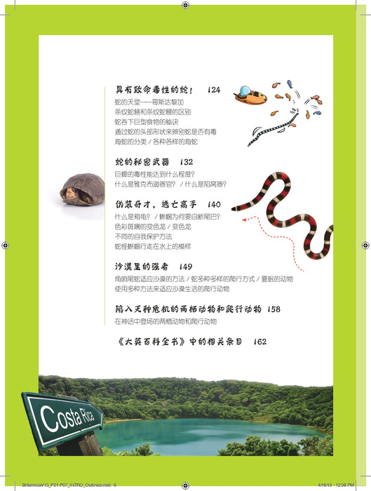 Britannica Da Ying Er Tong Man Hua Bai Ke Volume 11 to 19 大英儿童漫画百科