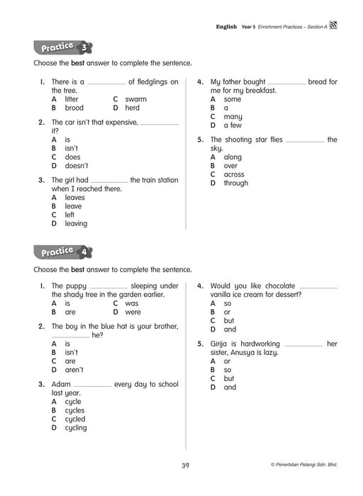 Praktis Go 2022 Year 5 Grammar 预备, 起!