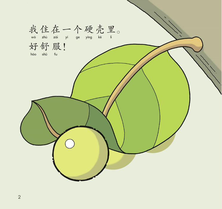 哈罗系列 美丽的蝴蝶