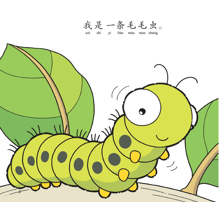 哈罗系列 美丽的蝴蝶