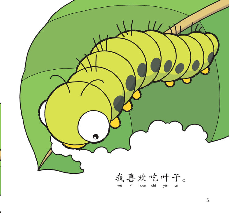 哈罗系列 美丽的蝴蝶