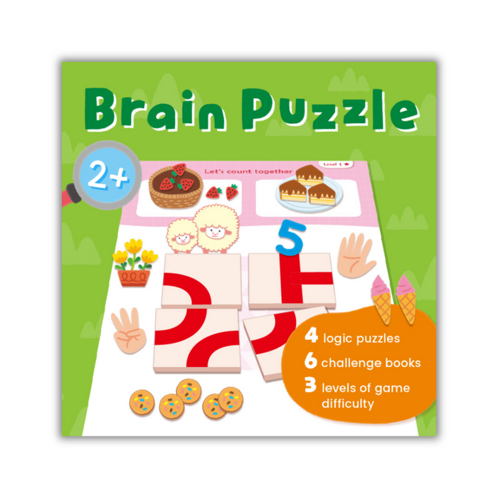 iQ HOUSE Brain Puzzle