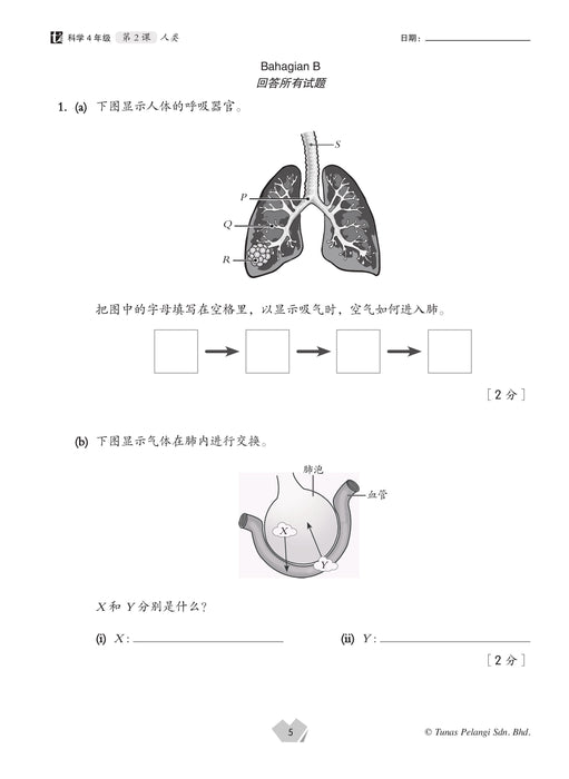 Praktis Topikal UASA 2025 备考全能通 4 年级 科学 Sains