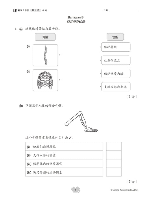 Praktis Topikal UASA 2025 备考全能通 5 年级 科学 Sains