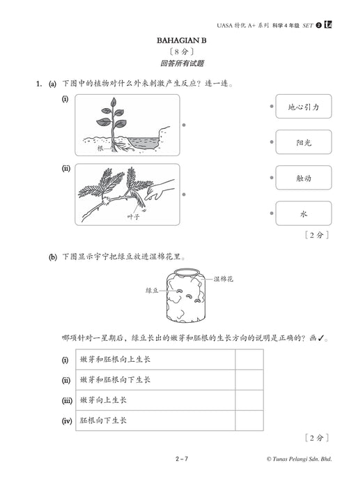 Skor A+ dalam UASA 2025 特优 A+ 系列 4 年级 科学 Sains