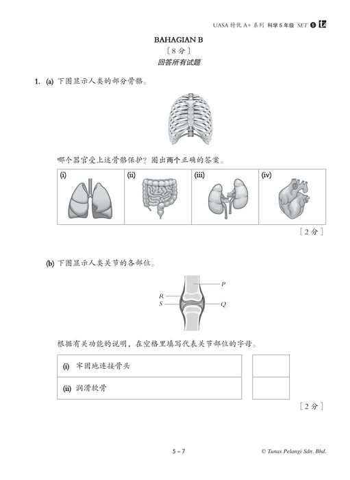 Skor A+ dalam UASA 2025 特优 A+ 系列 5 年级 科学 Sains
